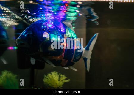 Swimming robot fish fotografías e imágenes de alta resolución - Alamy