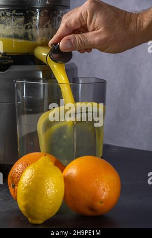 dos naranjas y un limón delante de un extractor de jugo. el jugo fluye en  un recipiente Fotografía de stock - Alamy