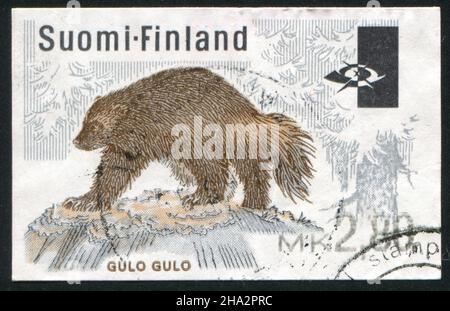 FINLANDIA - ALREDEDOR de 1983: Sello impreso por Finlandia, muestra Wolverine , alrededor de 1983 Foto de stock