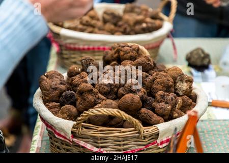 El mercado de trufas en Aups (Francia) tiene lugar todos los jueves desde principios de diciembre hasta marzo. El mercado de trufas de Aups es el tercero más grande de su tipo en toda Francia. Aquí los distribuidores de trufas venden directamente a los ...