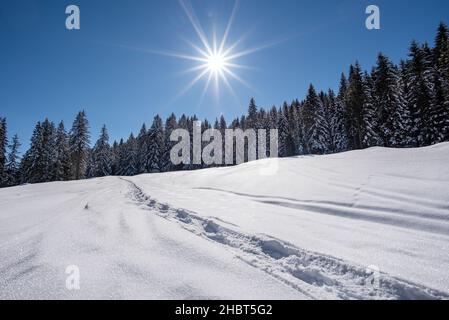 Soleado paisaje invernal en la tierra de Salzburger, Pinzgau, Austria Foto de stock