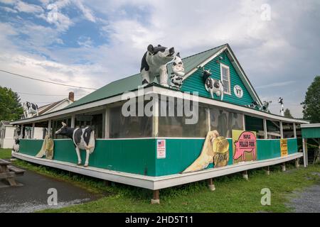 Dentro de una ecléctica tienda de campo para viajeros en la zona rural de Vermont, Estados Unidos Foto de stock
