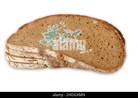 mohoso, rebanadas de pan, moldies, pan Foto de stock