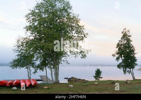 SUECIA, Varmland, humor matutino en el lago Övre Brocken, niebla, alquiler de canoas Foto de stock