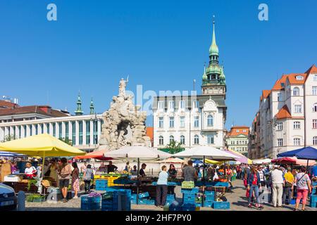 Brno (Brünn), Mercado de verduras, Torre del Ayuntamiento, Fuente Parnas en Jihomoravsky, Moravia del Sur, Südmähren, Checo Foto de stock