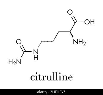 Molécula de aminoácido citrulina. Presente en algunos suplementos dietéticos atléticos. Fórmula esquelética. Ilustración del Vector