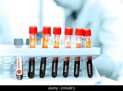 Tubos de ensayo con sangre en el laboratorio. Covid-19 y variantes de mutación etiquetadas. Foto de stock