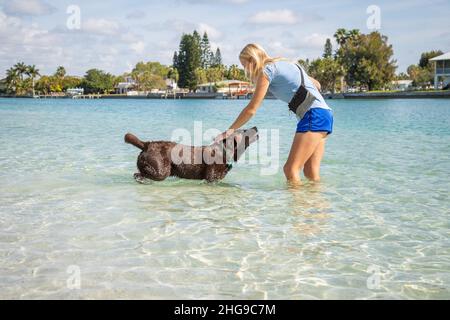 Mujer de pie en el océano entrenando a un perro marrón del perrito del labrador, Florida, Estados Unidos
