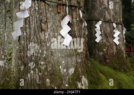 Banderines de papel en forma de zigzag (shide) japoneses en Nikko designando lugar sagrado Foto de stock