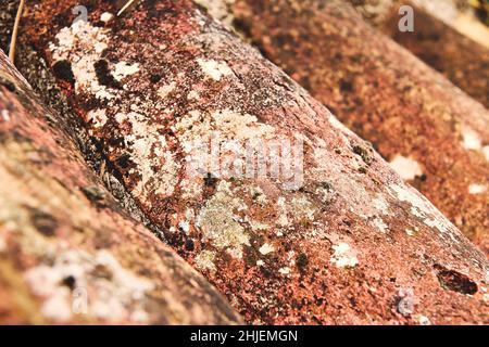 Textura de arcilla roja patrones naturales naturales primer plano de fondo  rojo seco