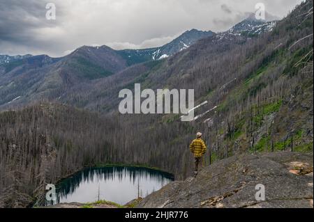El macho se encuentra sobre un lago alpino devastado por incendios forestales Foto de stock