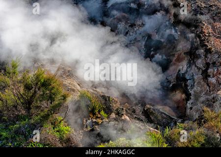 Característica geotérmica del Valle Volcánico Waimangu, Rotorua, Nueva Zelanda Foto de stock