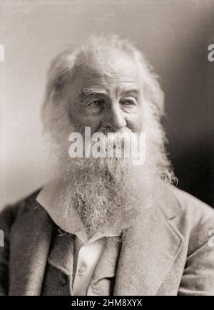 Walt Whitman, 1819 - 1892. Poeta americano. Después de una fotografía de Napoleón Sarony.