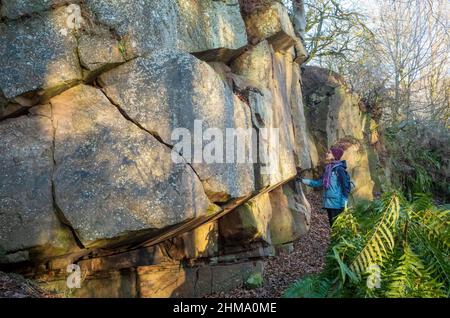 Inspección de una roca de arenisca roja erosionada en la cantera de Cowraik (en desuso), Penrith, Cumbria Foto de stock
