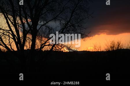 Puesta de sol rural con silueta de árboles. Buenas noches, dormir bien  Fotografía de stock - Alamy