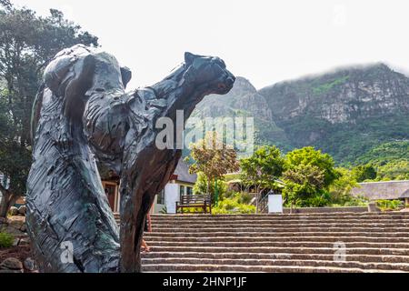 Escultura de Puma en el Jardín Botánico Kirstenbosch en Ciudad del Cabo  Fotografía de stock - Alamy