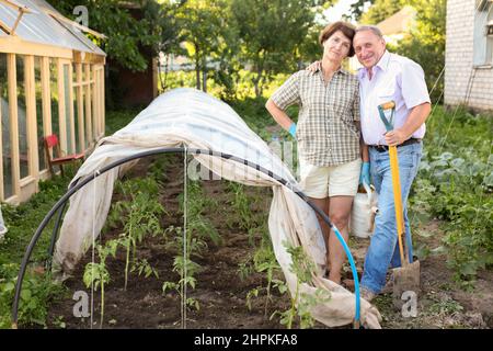 La pareja de ancianos protege las plantas del frío Foto de stock