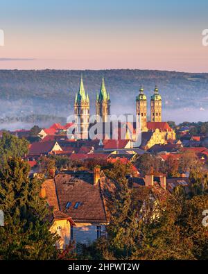 Vista de la Catedral de San Pedro y Pablo a la luz de la mañana, Patrimonio de la Humanidad de la UNESCO, niebla matutina en el valle de Saale, Naumburg Foto de stock