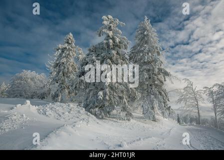 Montañas Beskids En invierno, la región turística polaca es Silesia, cerca de Bielsko-Biala Foto de stock