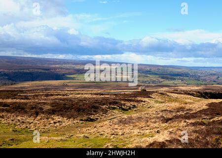 Campo de Goathland en el corazón del North York Moors National Park, Yorkshire, Reino Unido Foto de stock