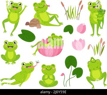 Ranas de dibujos animados. Rana verde en el estanque sostener tadpole, cute  sapo de agua reposar en la flor. Hojas de lirio silvestre o de loto,  animales aislados de vector acuático neoterico