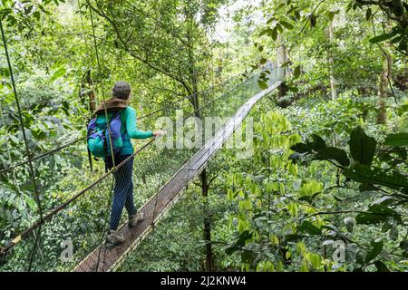 Paseo en el bosque tropical, Parque Nacional Gunung Mulu, Sarawak, Malasia Foto de stock