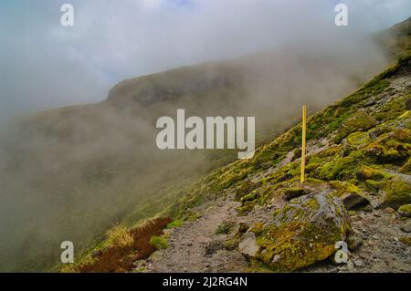 Pista de senderismo, marcada con polos amarillos, en la zona alpina brumosa de los Taranaki (Monte Egmont) en la Isla Norte, Nueva Zelanda. Aquí sólo crecen musgos Foto de stock