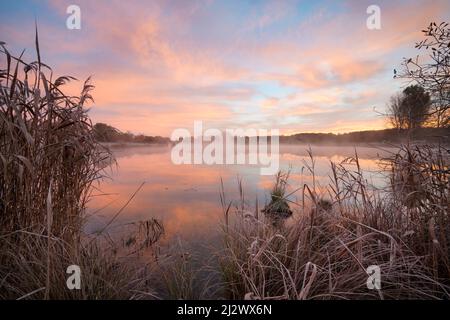 Al amanecer en Dietlhofer See a finales de octubre, Weilheim, Baviera, Alemania, Europa Foto de stock