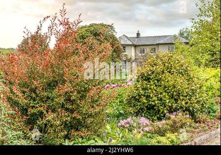 Prados frontales en el Garden House, Yelverton, Devon, Inglaterra Foto de stock