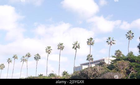 Hilera de palmeras en el parque de la ciudad, Rocky Point en La Jolla, San Diego, costa de California, Estados Unidos. Frente al mar o paseo marítimo con palmeras. Verdor tropical de verano junto al paseo marítimo. Cielo azul y nubes Foto de stock