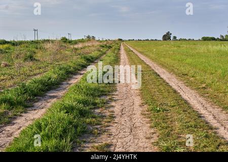 Tierra rural Camino a través de Grasland en Argentina. Horizontal Foto de stock