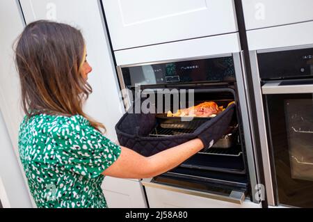 Pebish Helecho Templado Mujer joven cocinar asado de cordero en su nueva cocina con horno eléctrico  del ventilador doble Fotografía de stock - Alamy