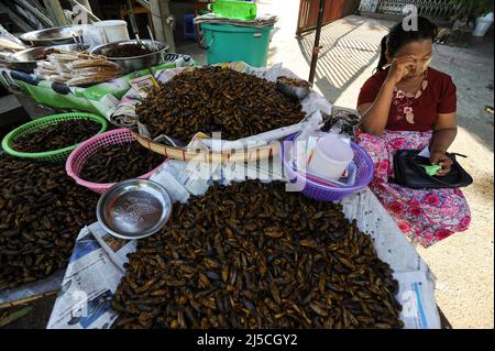 20 de diciembre de 2013, Yangon, República de la Unión de Myanmar, Asia - un vendedor se sienta al lado de su puesto de venta de grillos tostados en un mercado callejero en la antigua capital. [traducción automática] Foto de stock