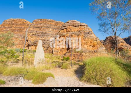 Termitas Mound y Spinifex en las colinas de arenisca del Parque Nacional Purnululu o Bungle Bungles, un lugar declarado Patrimonio de la Humanidad por la Unesco en la región de Kimberley, al oeste Foto de stock