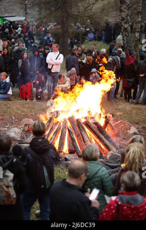 30 de abril de 2022, Sajonia-Anhalt, Schierke: Un incendio de Walpurgis se quema en los jardines del balneario de la localidad de Schierke, en Harz. Aquí, en la noche del 1 de mayo, se celebró el mayor festival de Walpurgis en el Harz. Varios miles de visitantes celebraron en parte también con trajes de bruja y diablo. En Walpurgis tradicionalmente se aleja simbólicamente del invierno. Foto: Matthias Bein/dpa Foto de stock
