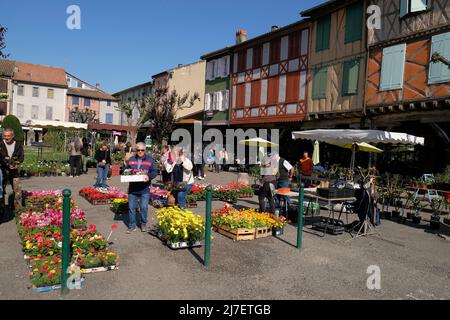 Mirepoix Ariège Francia 05.08.22 Plaza de la ciudad medieval. Edificios pintados con marcos de madera. Puestos de venta de plantas de colores. Hombre llevando caja de flores. Foto de stock