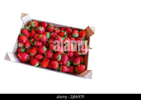 Fresas Frescas En Caja De Plástico, Aislados En Blanco Fotos, retratos,  imágenes y fotografía de archivo libres de derecho. Image 27691244