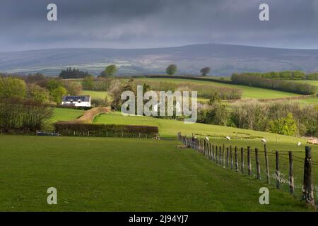 La vista hacia el noroeste a lo largo de Coleridge Way en White Moor en Brendon Hills cerca de Wheddon Cross con Dunkery Hill en la distancia, Exmoor National Park, Somerset, Inglaterra. Foto de stock