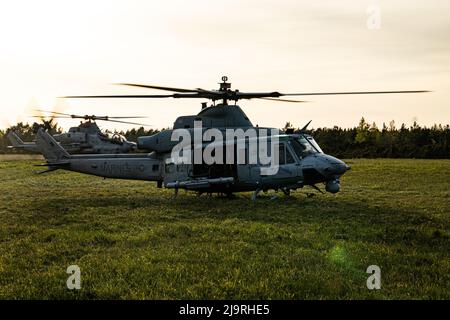Un helicóptero UH-1Y Venom (frente) y AH-1Z Viper se preparan para despegar cerca de Saaremaa, Estonia, 22 de mayo de 2022. El Grupo de Tareas 61/2,4 proporciona a los comandantes navales y de fuerzas conjuntas capacidades dedicadas de reconocimiento y contrareconocimiento multidominio (RXR). El Grupo de Tareas 61/2,4, bajo el Grupo de Trabajo 61/2, está ejecutando el Comandante del Concepto del Cuerpo de Marines para Fuerzas de Stand-In (SIF) para generar unidades pequeñas y altamente versátiles que integren el Cuerpo de Marines y las fuerzas de la Marina. La Fuerza de Tarea 61/2 está desplegada en el área de operaciones de las Fuerzas Navales de EE.UU. En Europa, empleada por la Sexta Flota de EE.UU. Para defender a EE.UU., Allie