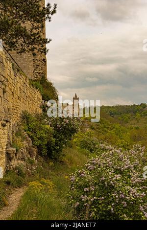 Castillo de Rudelsburg arruina vista desde el Castillo Saaleck en primavera Foto de stock
