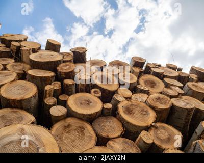 Pila de troncos, tala de madera, industria de la madera forestal. Madereo en el bosque Foto de stock