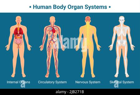 biologia del sistema organico