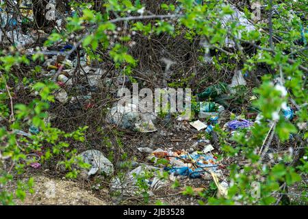 Basura plástica dispersa en un bosque verde entre los arbustos de primavera, contaminación ambiental Foto de stock