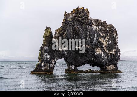 Hvítserkur es una roca de basalto de 15 m que sobresale de la bahía de Húnaflói en Islandia Foto de stock