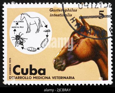 CUBA - CIRCA 1975: Un sello impreso en Cuba muestra Gasterophilus intestinalis, Caballo, Parasito y Anfitrión, Medicina Veterinaria, circa 1975 Foto de stock
