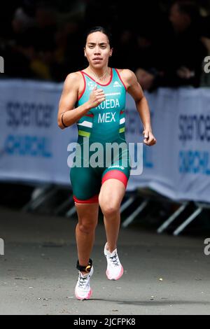Lizeth Rueda lidera equipo mexicano de triatlón a Serie de Campeonato en  Hamburgo - Enfoque Noticias