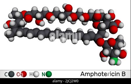 Molécula de anfotericina B. Es antifúngico utilizado para tratar infecciones fúngicas. Modelo molecular. 3D renderizado Foto de stock