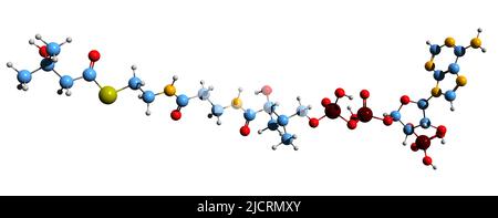 3D Imágen de beta-hidroxi beta-metilbutirilo-CoA (fórmula esquelética) - estructura química molecular de HMB-CoA aislada sobre fondo blanco Foto de stock