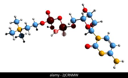 3D Imágen de la fórmula esquelética de citicolina - estructura química molecular de CDP-colina aislada sobre fondo blanco Foto de stock