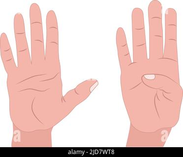 Abrir la mano y el brazo humano planteadas Imagen Vector de stock - Alamy